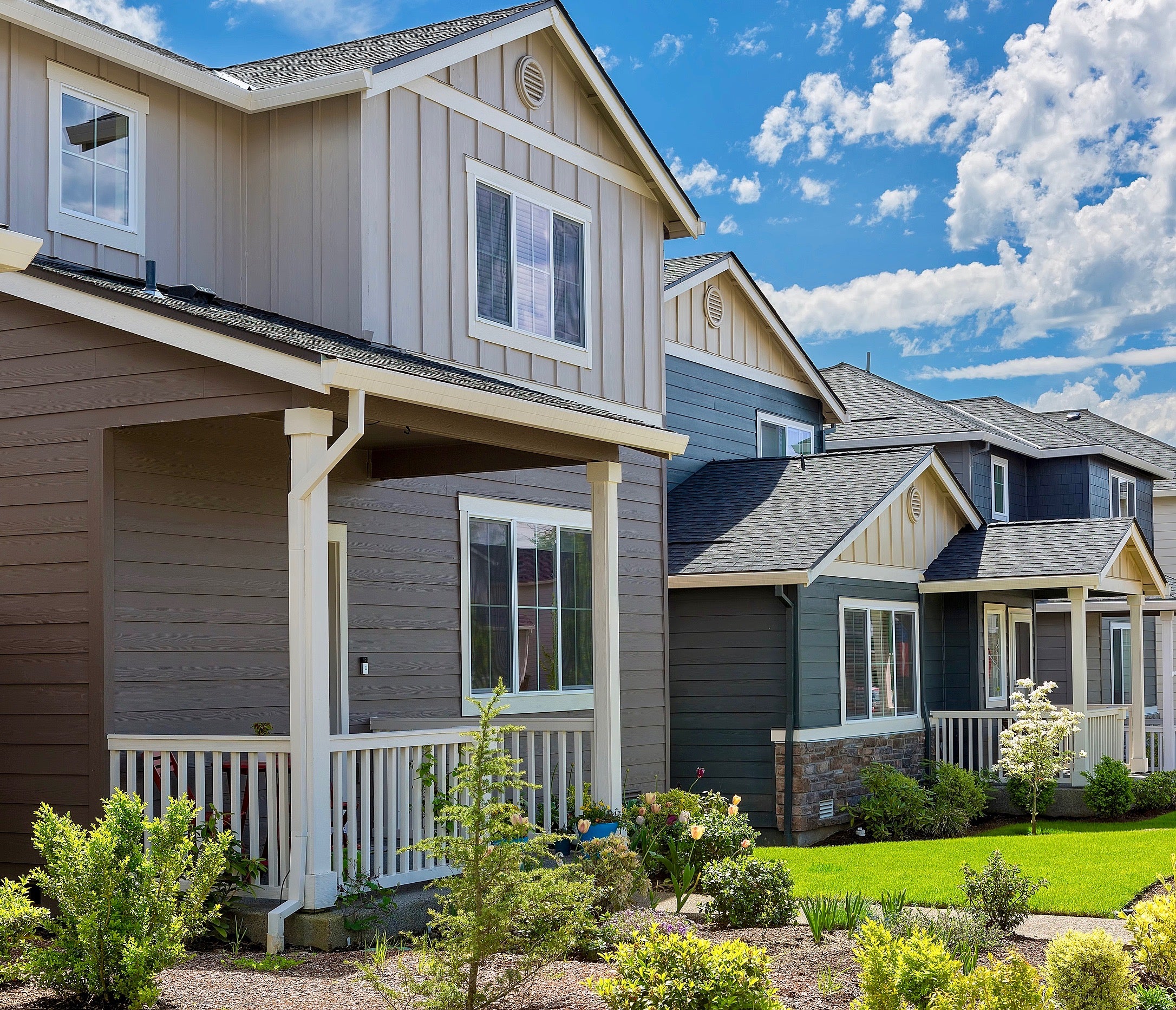 sunset in the suburbs